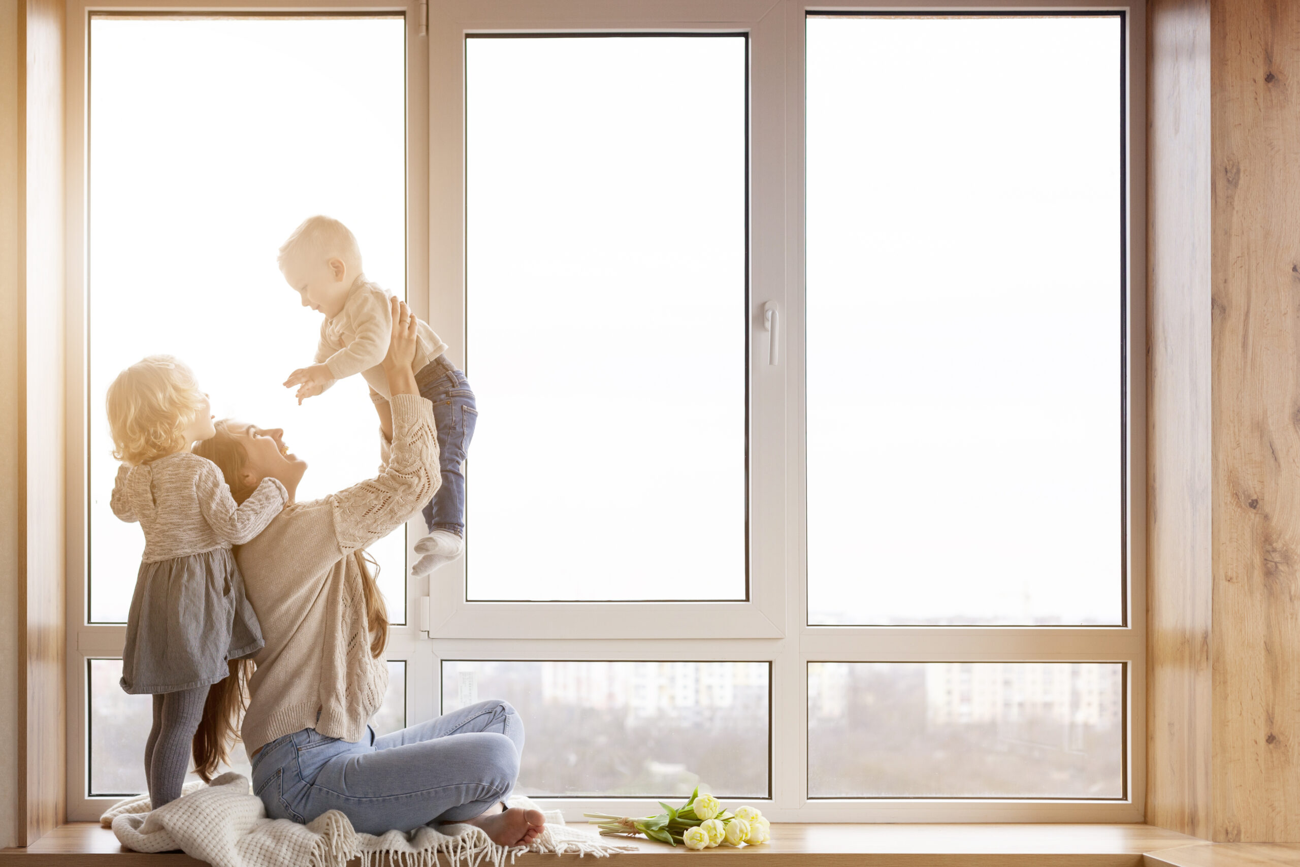 Fenêtre aluminium 2 vantaux